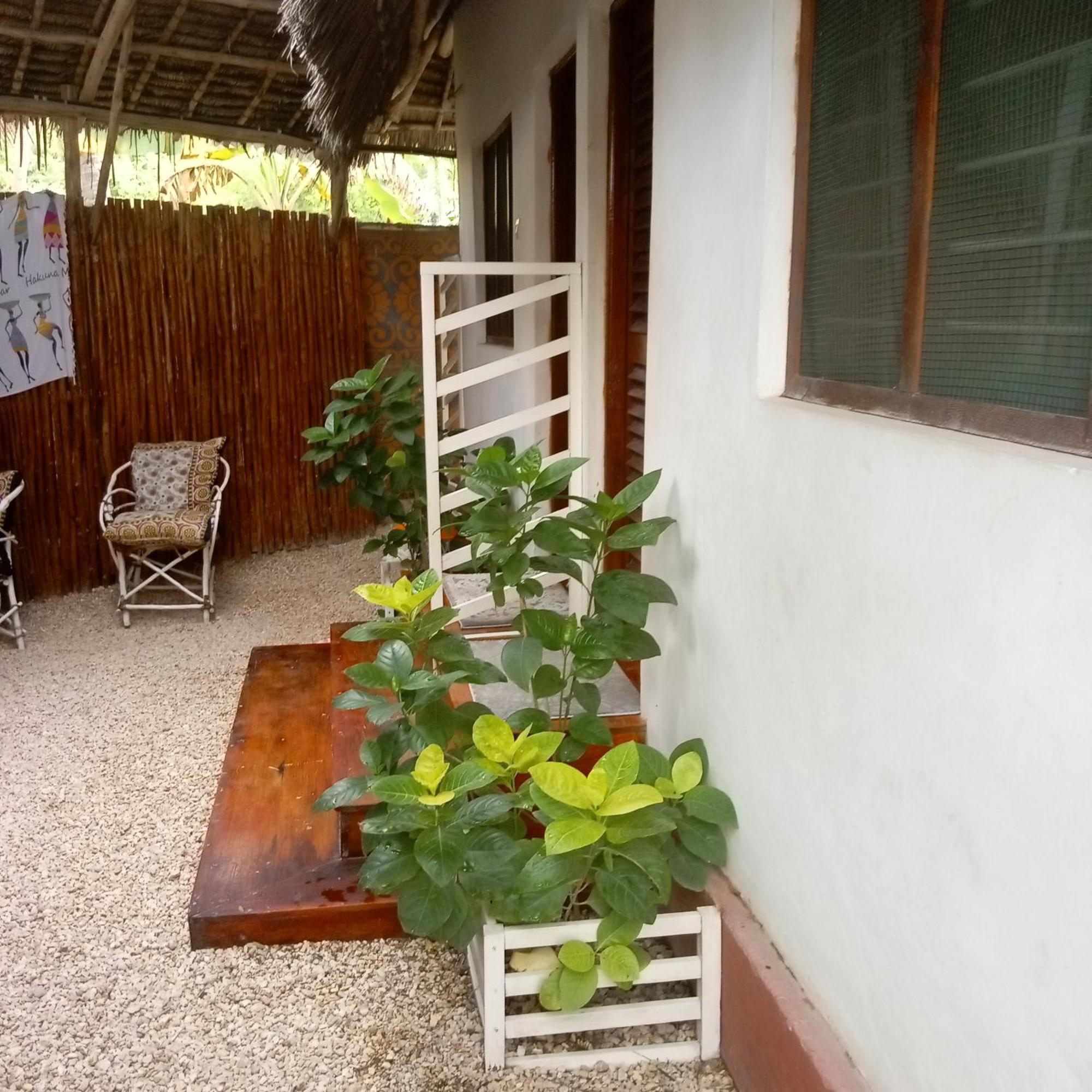 Casa Carlotta&Villa Nungwi Esterno foto