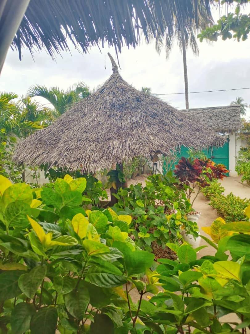 Casa Carlotta&Villa Nungwi Esterno foto